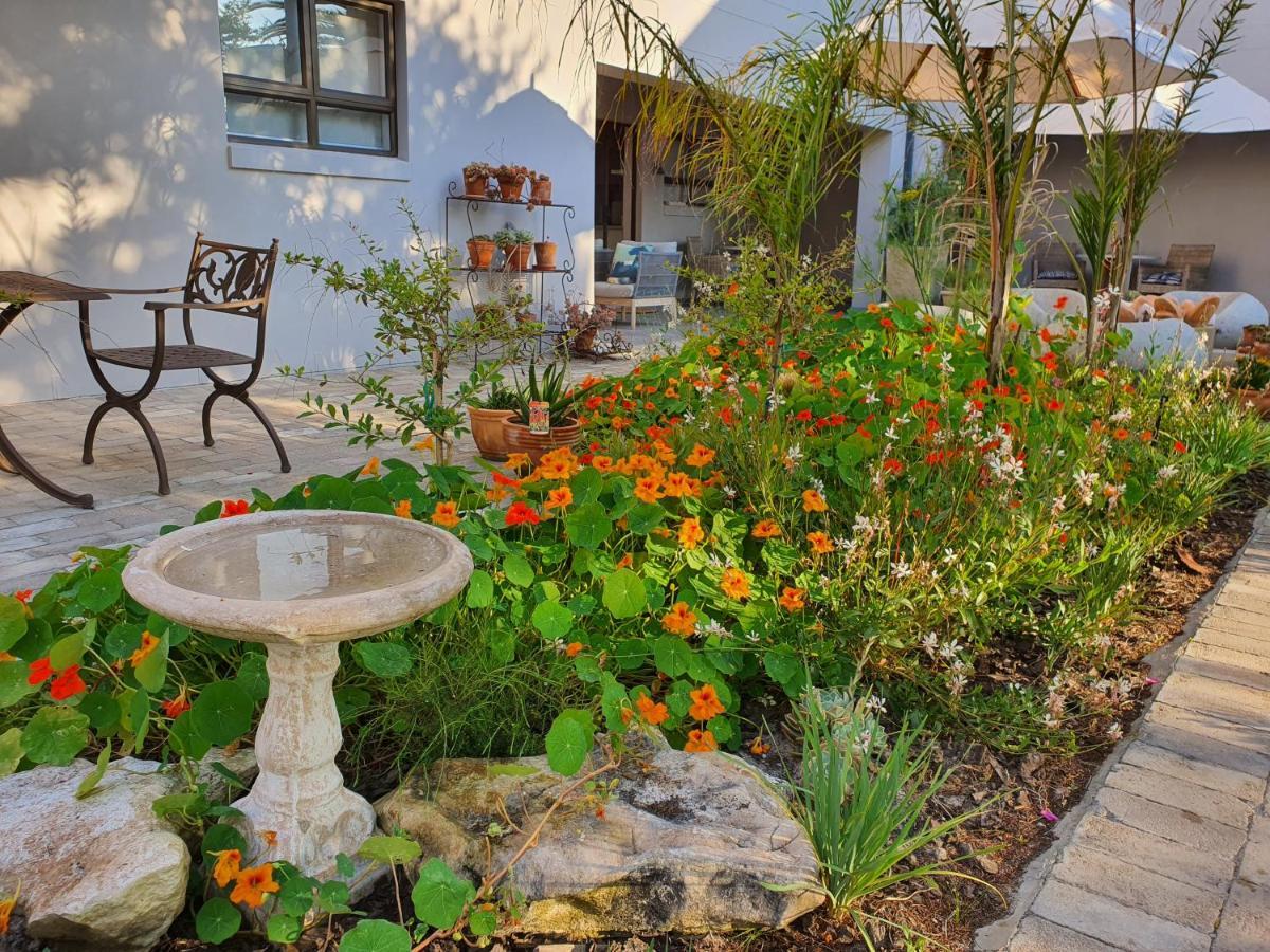 Albatross Guesthouse Langebaan Εξωτερικό φωτογραφία